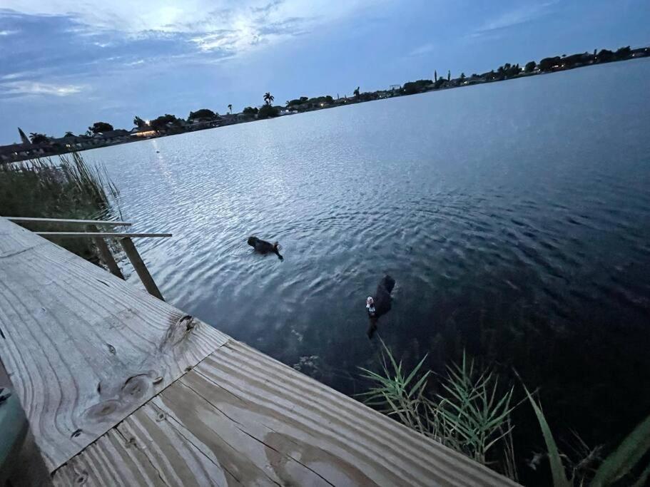 Supervilla - Lakefront - Sunsets, Kayaks, Grill Fort Lauderdale Exterior foto